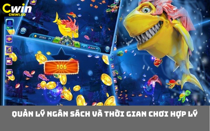 Quản lý ngân sách và thời gian chơi hợp lý